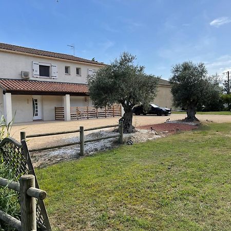Studio 40M2 Avec Terrasse Le Mas De Lauriane Saintes-Maries-de-la-Mer Exteriér fotografie
