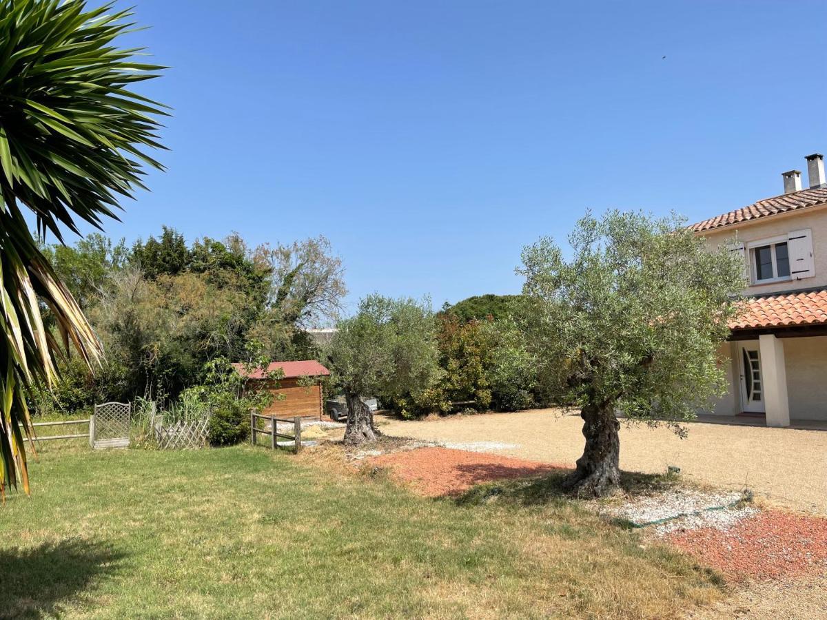 Studio 40M2 Avec Terrasse Le Mas De Lauriane Saintes-Maries-de-la-Mer Exteriér fotografie