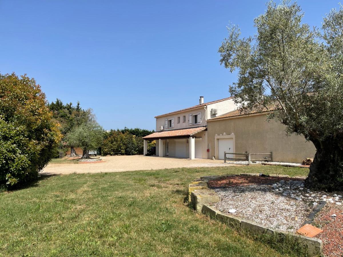 Studio 40M2 Avec Terrasse Le Mas De Lauriane Saintes-Maries-de-la-Mer Exteriér fotografie